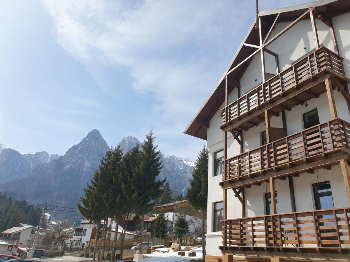 Vila Panoramic Buşteni Exterior foto