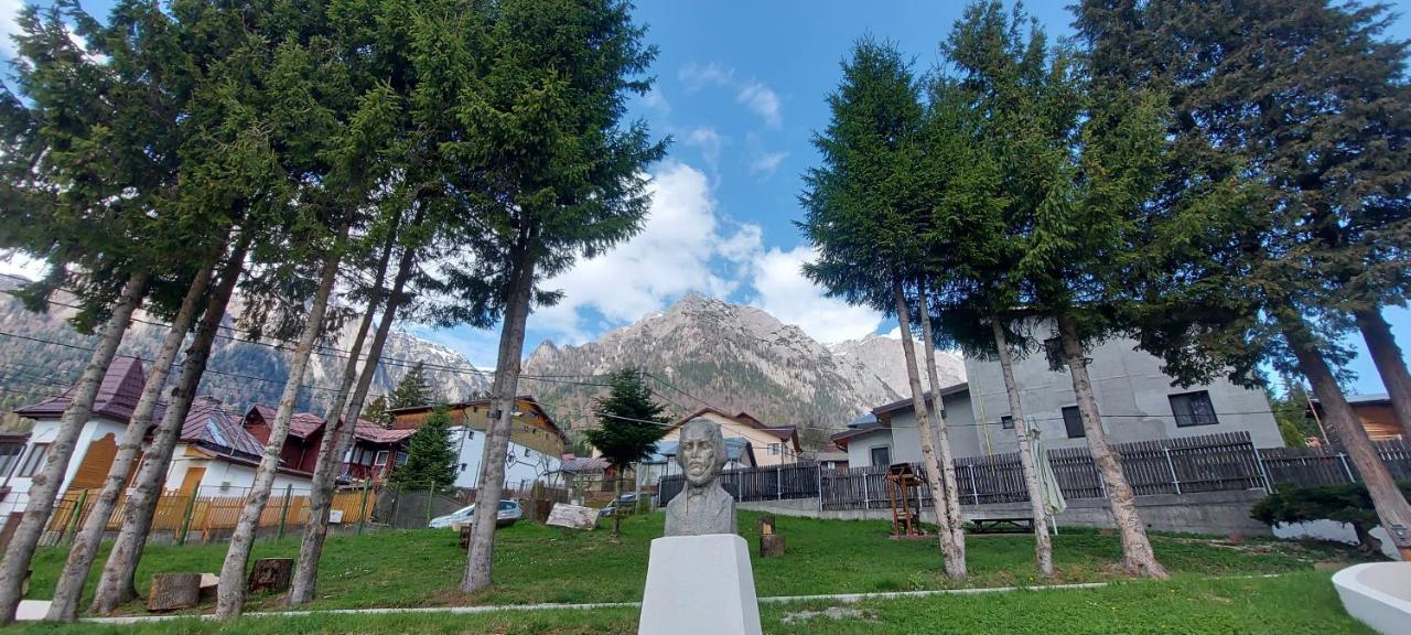 Vila Panoramic Buşteni Exterior foto