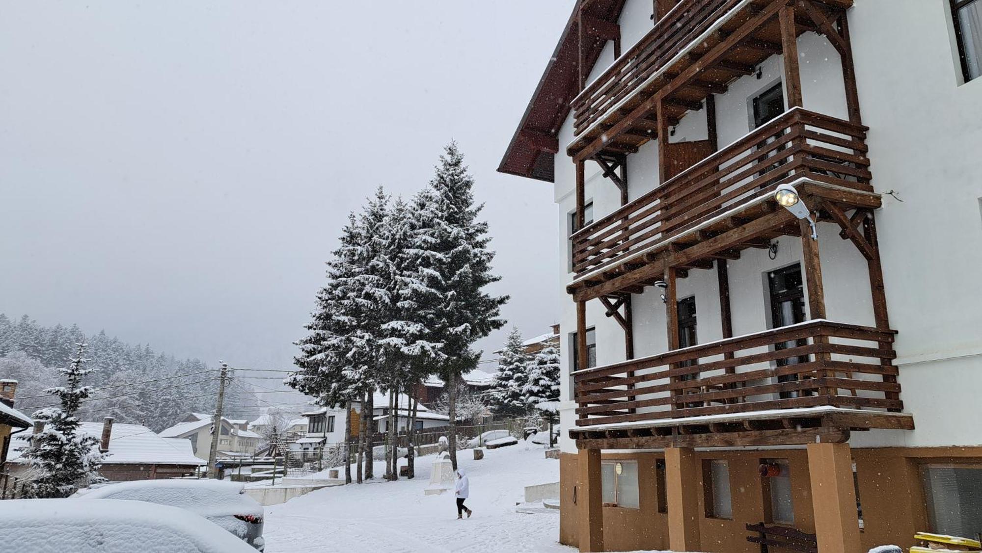 Vila Panoramic Buşteni Exterior foto
